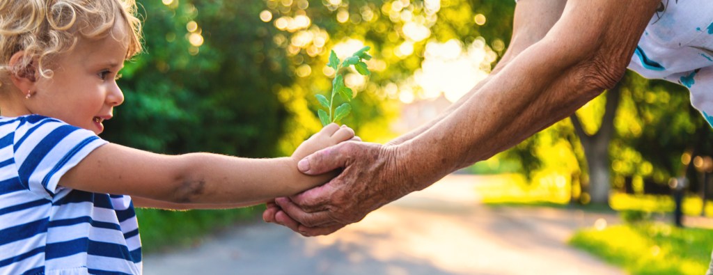 Generational Wealth symbolized by elder handing plant to child.
