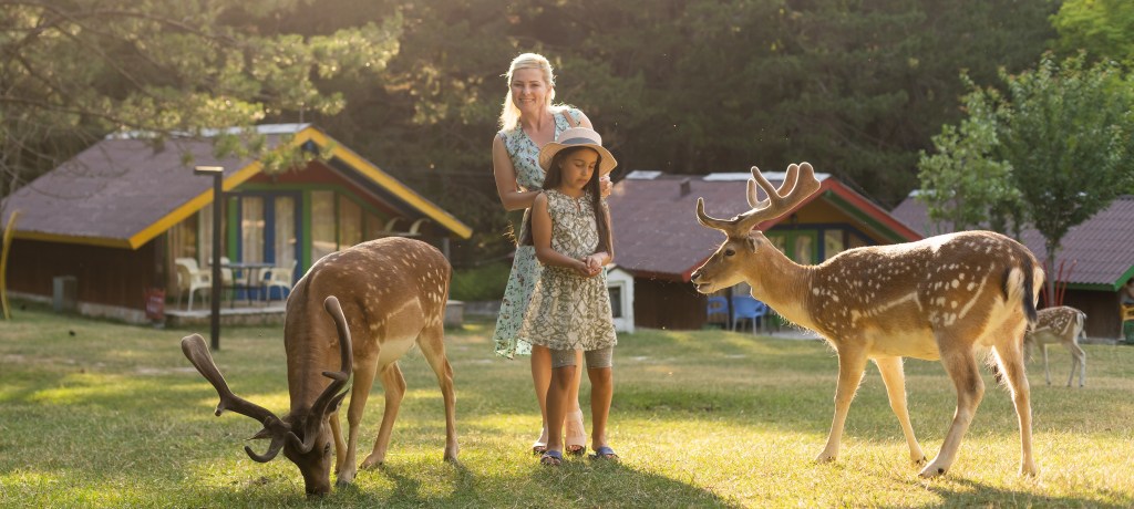 Happy young mother with daughter feeding beautiful deer in the zoo